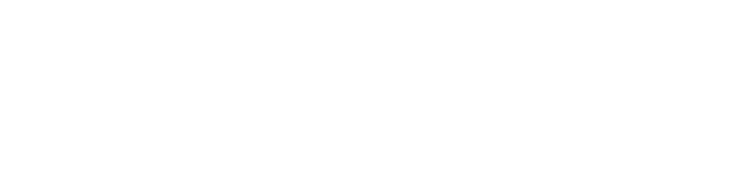 Nissan Security Plus